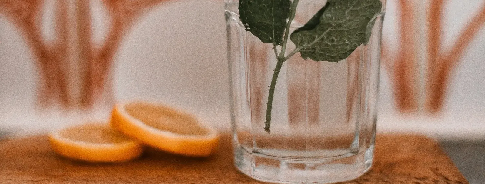 Glass of water with fresh mint leaves on a tray