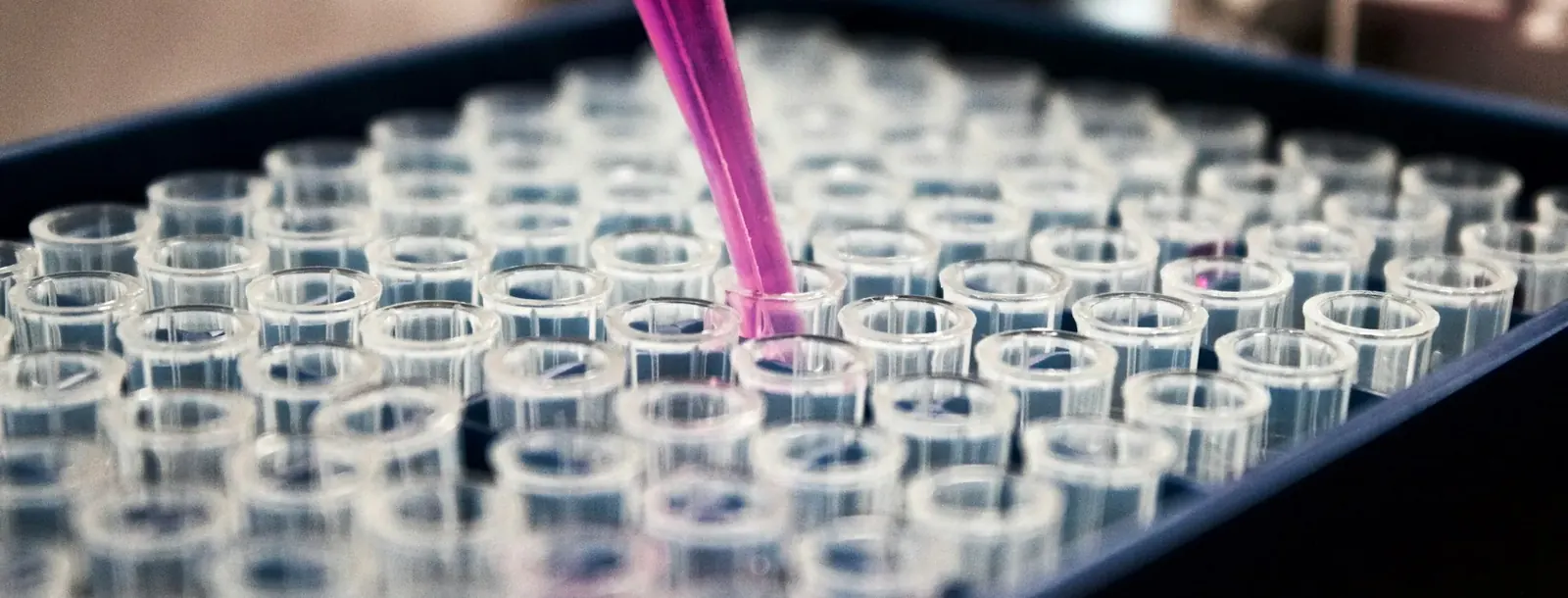 Pipette filling sample vials in a laboratory tray